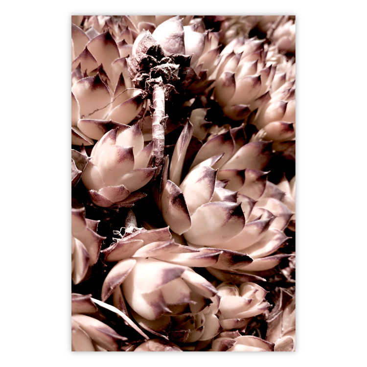 Wall Poster Orpheus - natural plants with white flowers and purple details 122648