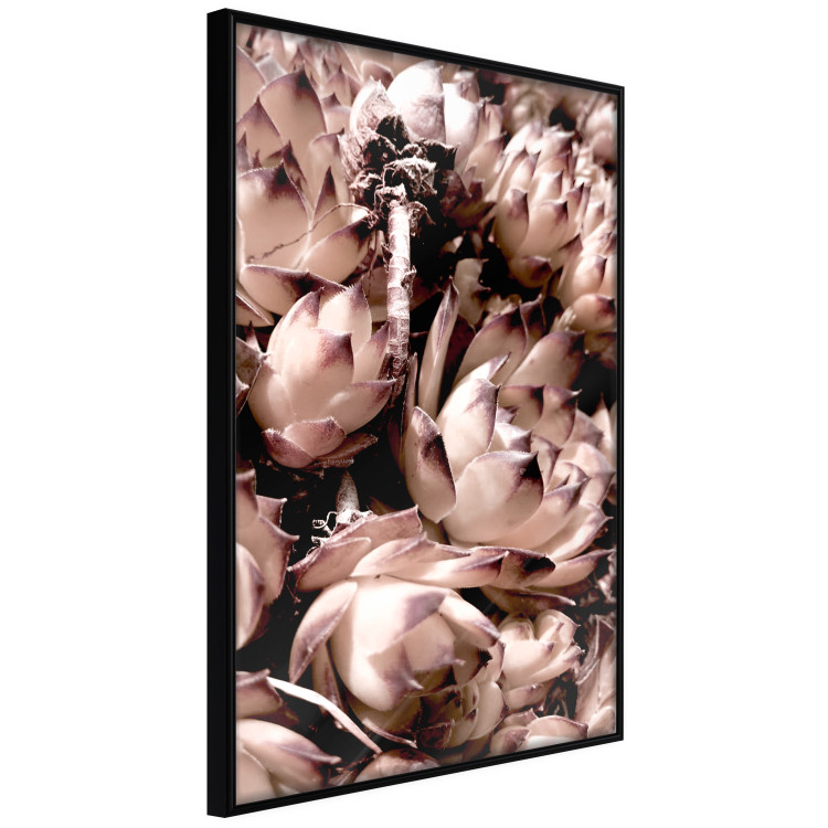 Wall Poster Orpheus - natural plants with white flowers and purple details 122648 additionalImage 10