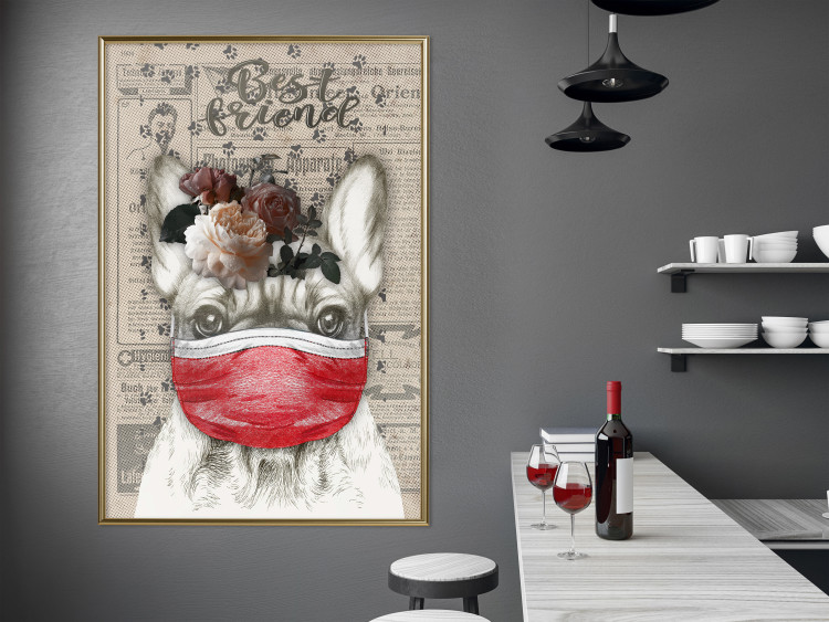 Poster Rufio - humorous fantasy with a purebred dog in a mask and text in the background 129148 additionalImage 7