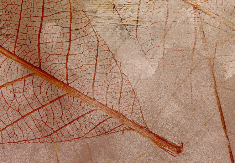 Canvas Print Nature's Impression (1-piece) Wide - rustic leaf texture motif 132148 additionalImage 5