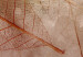 Canvas Print Nature's Impression (1-piece) Wide - rustic leaf texture motif 132148 additionalThumb 5