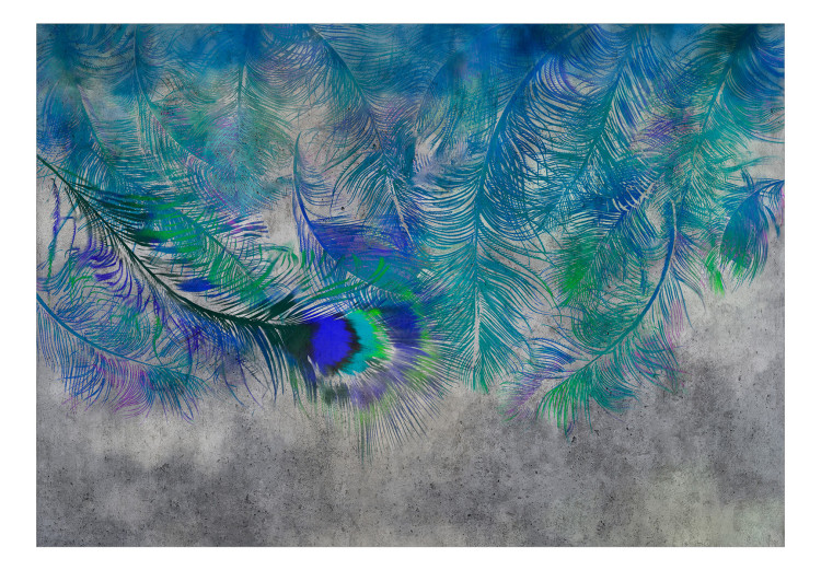 Wall Mural Exotic motif - blue peacock feathers on grey concrete background 134948 additionalImage 1