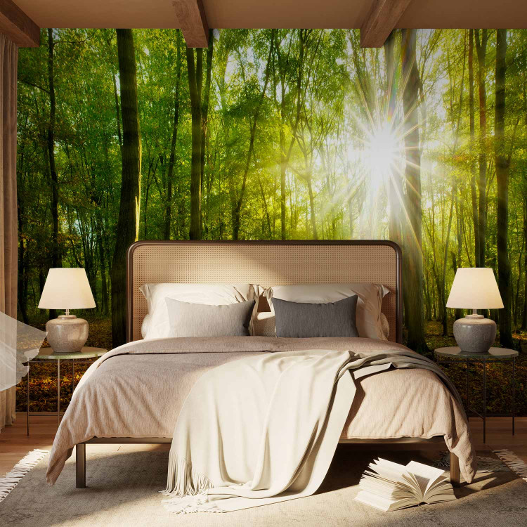 Photo Wallpaper Sunlight penetrating through the treetops - landscape of green forest and leaves 138048 additionalImage 2