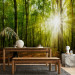Photo Wallpaper Sunlight penetrating through the treetops - landscape of green forest and leaves 138048 additionalThumb 6