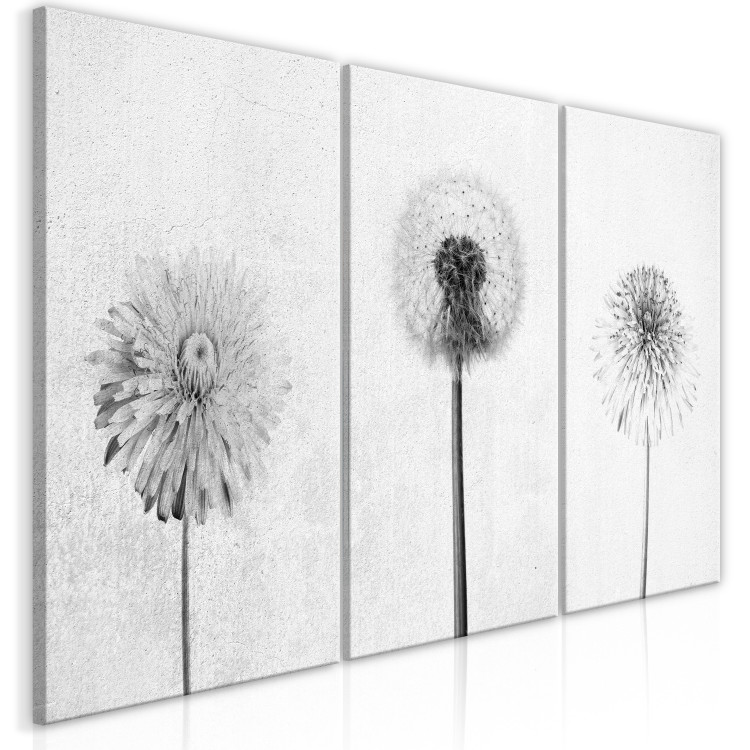 Canvas Art Print Delicate Trio (3-piece) - black and white dandelions and daisies in a meadow 143248 additionalImage 2