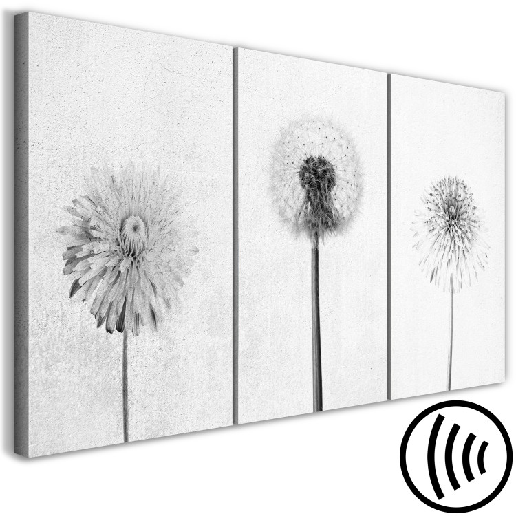 Canvas Art Print Delicate Trio (3-piece) - black and white dandelions and daisies in a meadow 143248 additionalImage 6
