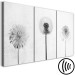 Canvas Art Print Delicate Trio (3-piece) - black and white dandelions and daisies in a meadow 143248 additionalThumb 6