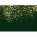 Wall Mural Golden drops - abstract with golden rain effect on green background 143748 additionalThumb 1