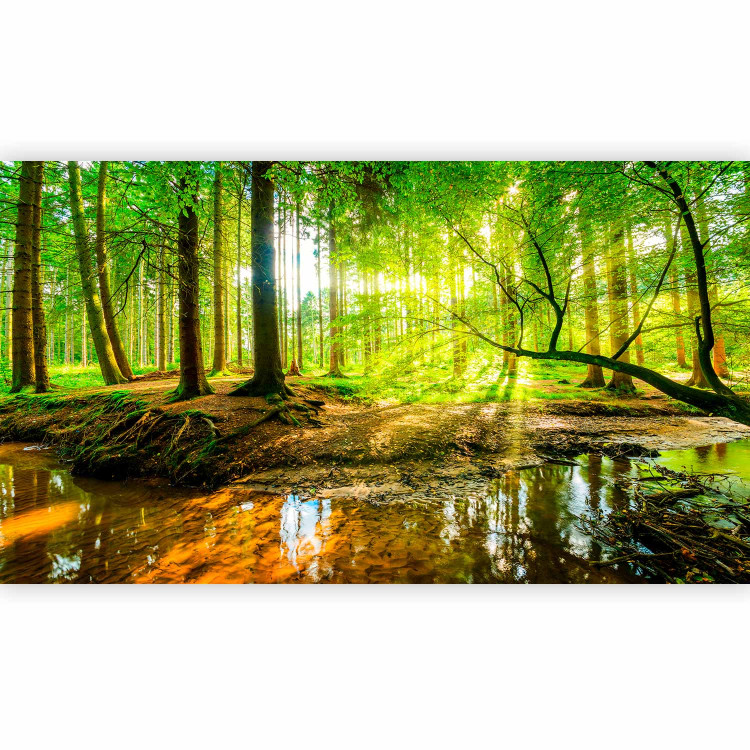 Photo Wallpaper Forest and Lake - Landscape Overlooking Natural Greenery 146448 additionalImage 1