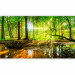 Photo Wallpaper Forest and Lake - Landscape Overlooking Natural Greenery 146448 additionalThumb 1
