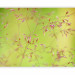 Wall Mural Ornamental Grass on a Green Background - Natural Macro Shot of Plant Flowers 60448 additionalThumb 5