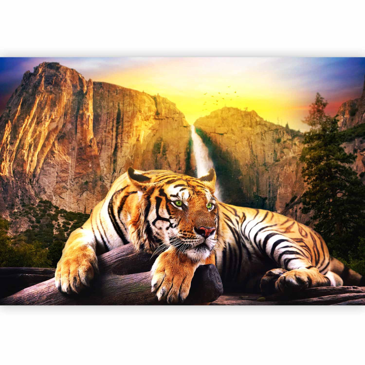 Wall Mural Peace of Nature - Beautiful tiger lying on rocks by a waterfall 61348 additionalImage 1