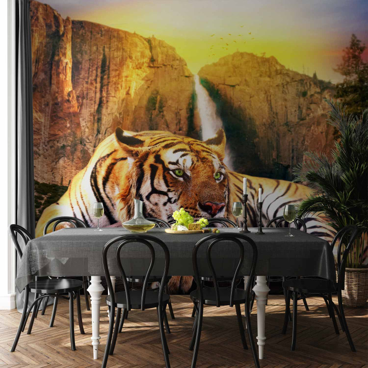 Wall Mural Peace of Nature - Beautiful tiger lying on rocks by a waterfall 61348 additionalImage 6