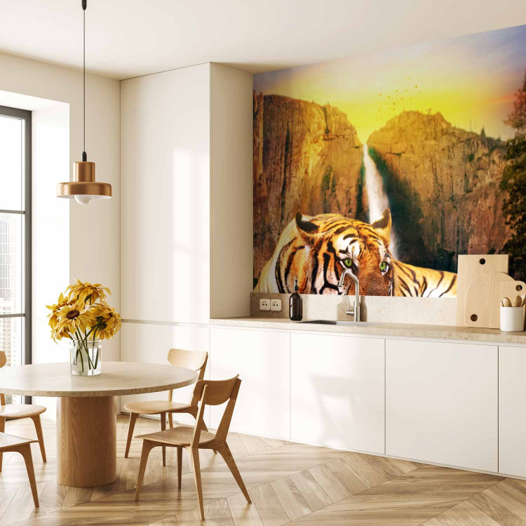 Wall Mural Peace of Nature - Beautiful tiger lying on rocks by a waterfall 61348 additionalImage 7