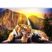Wall Mural Peace of Nature - Beautiful tiger lying on rocks by a waterfall 61348 additionalThumb 1