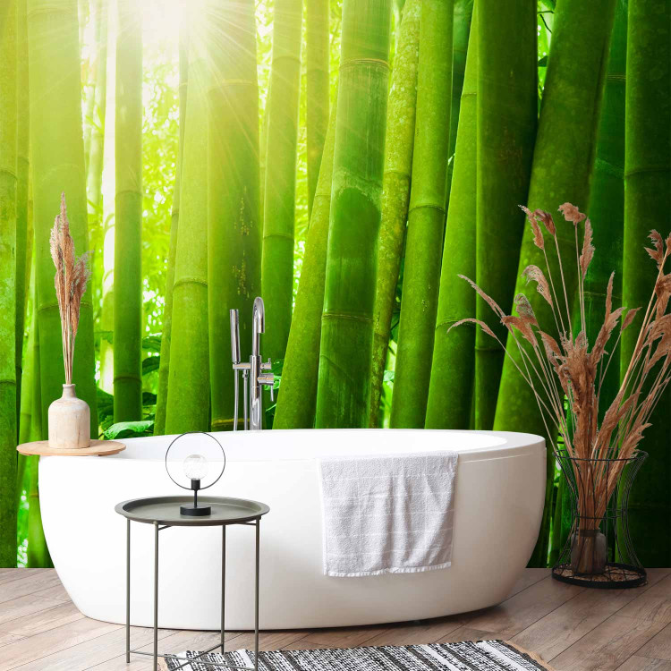 Wall Mural Sun and bamboo 61448 additionalImage 8
