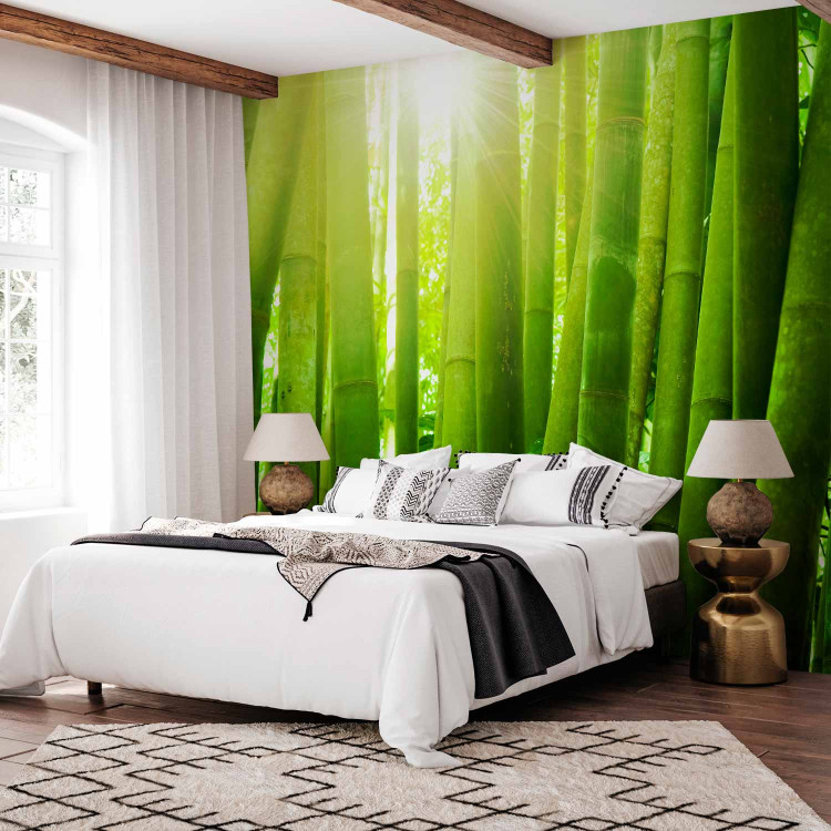 Wall Mural Sun and bamboo 61448 additionalImage 2