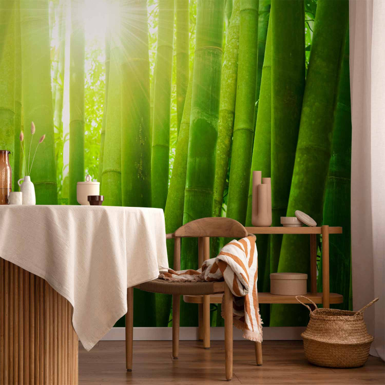 Wall Mural Sun and bamboo 61448 additionalImage 4