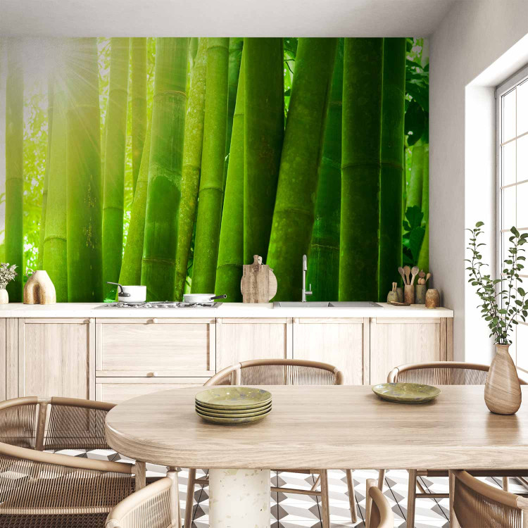Wall Mural Sun and bamboo 61448 additionalImage 6