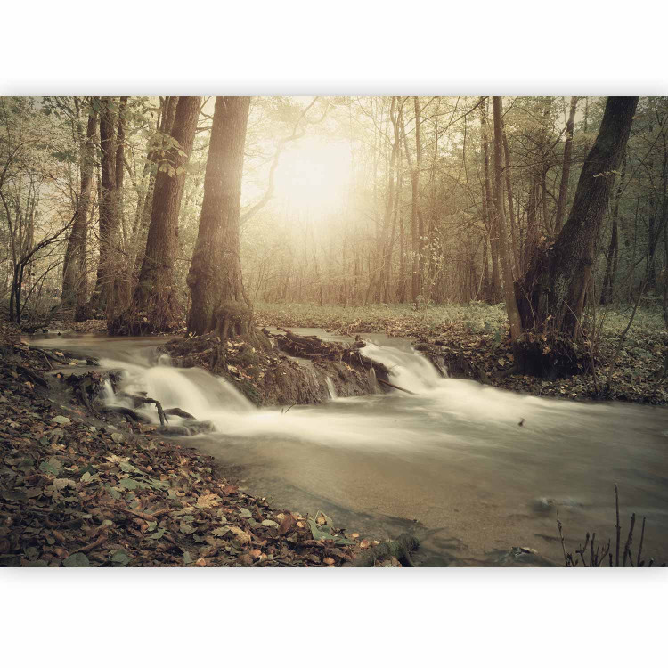 Wall Mural Forest Cascade 88648 additionalImage 5