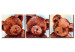 Canvas Print Teddy bears - picture of three bear cubs for a child's room 90348