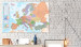 Decorative Pinboard World Maps: Europe [Cork Map] 95948 additionalThumb 3