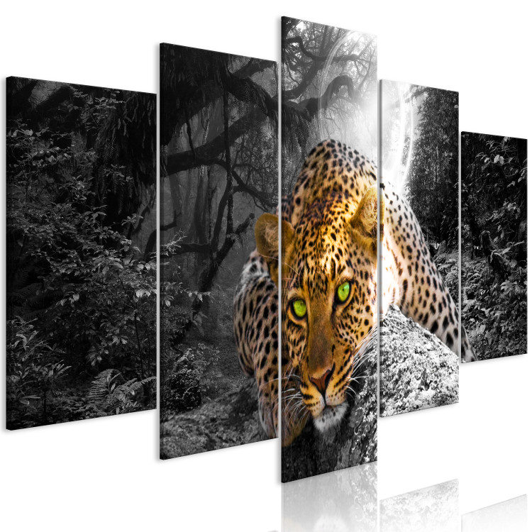 Canvas Art Print Lying Leopard (5-part) Wide - Wild Cat on Gray Forest Background 108158 additionalImage 2