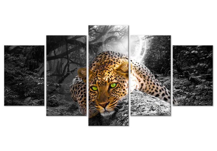 Canvas Art Print Lying Leopard (5-part) Wide - Wild Cat on Gray Forest Background 108158