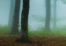 Canvas Print Misty Morning (1 Part) Wide 108258 additionalThumb 5