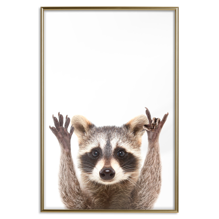Wall Poster Raccoon - funny animal with paws up on uniformly white background 114958 additionalImage 26
