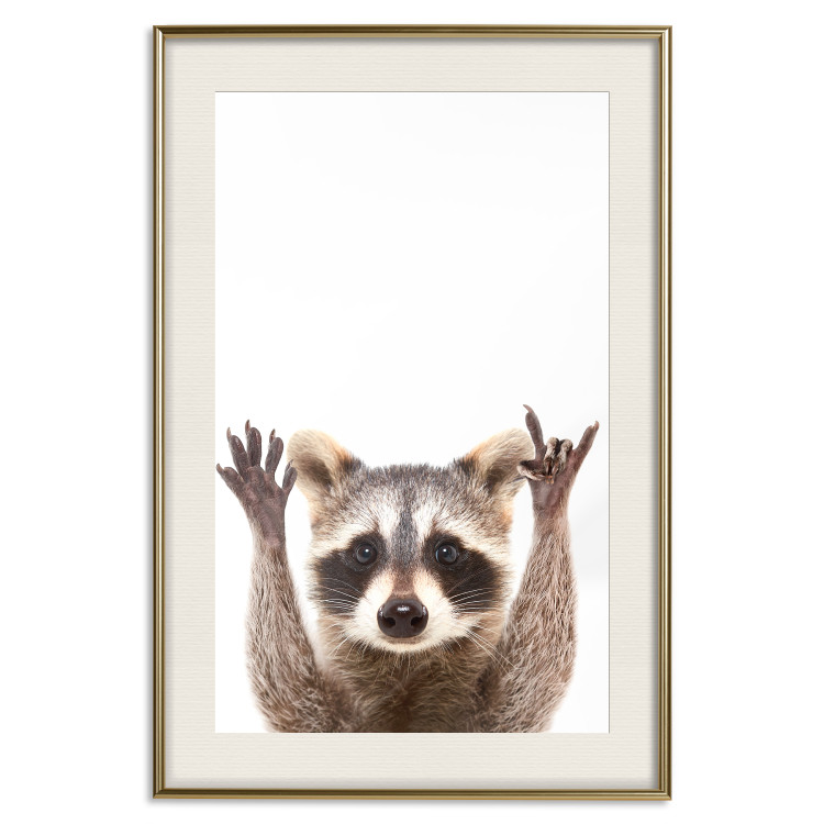Wall Poster Raccoon - funny animal with paws up on uniformly white background 114958 additionalImage 21
