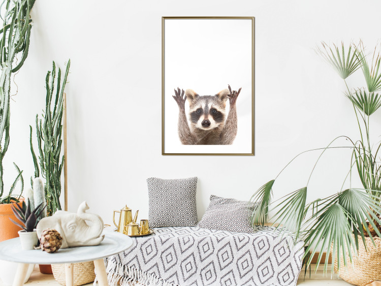 Wall Poster Raccoon - funny animal with paws up on uniformly white background 114958 additionalImage 15