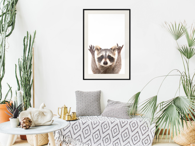 Wall Poster Raccoon - funny animal with paws up on uniformly white background 114958 additionalImage 16