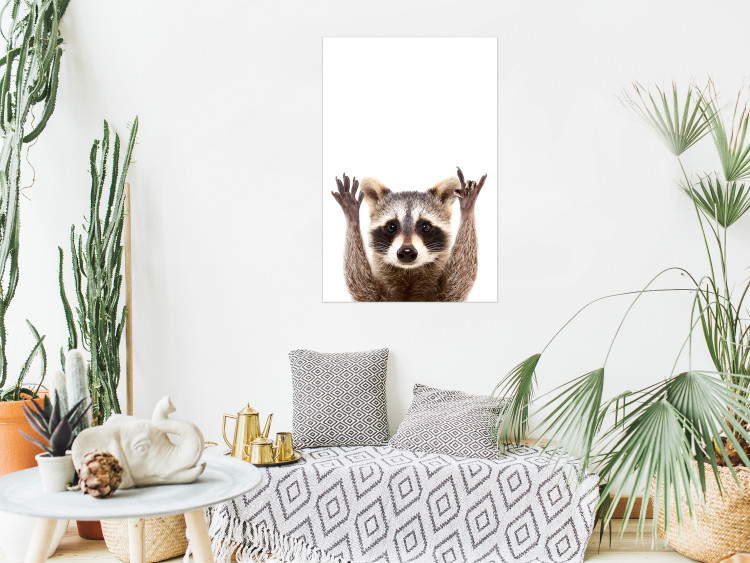 Wall Poster Raccoon - funny animal with paws up on uniformly white background 114958 additionalImage 23