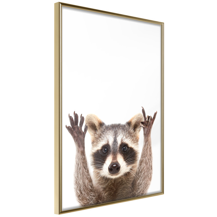 Wall Poster Raccoon - funny animal with paws up on uniformly white background 114958 additionalImage 12