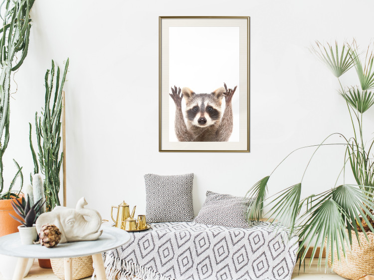 Wall Poster Raccoon - funny animal with paws up on uniformly white background 114958 additionalImage 17