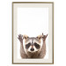 Wall Poster Raccoon - funny animal with paws up on uniformly white background 114958 additionalThumb 21