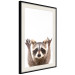 Wall Poster Raccoon - funny animal with paws up on uniformly white background 114958 additionalThumb 3