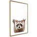 Wall Poster Raccoon - funny animal with paws up on uniformly white background 114958 additionalThumb 8