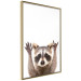 Wall Poster Raccoon - funny animal with paws up on uniformly white background 114958 additionalThumb 12