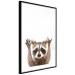 Wall Poster Raccoon - funny animal with paws up on uniformly white background 114958 additionalThumb 13