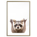 Wall Poster Raccoon - funny animal with paws up on uniformly white background 114958 additionalThumb 14