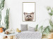 Wall Poster Raccoon - funny animal with paws up on uniformly white background 114958 additionalThumb 7