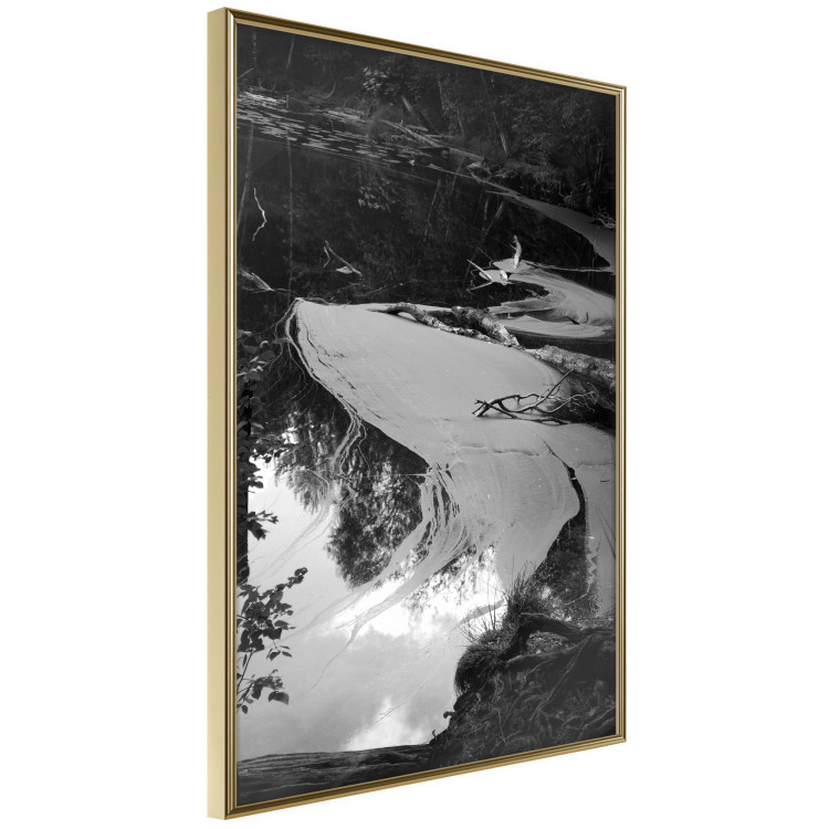 Poster Pond - black and white landscape of a calm lake surface with gray streaks 115058 additionalImage 4