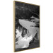 Poster Pond - black and white landscape of a calm lake surface with gray streaks 115058 additionalThumb 4