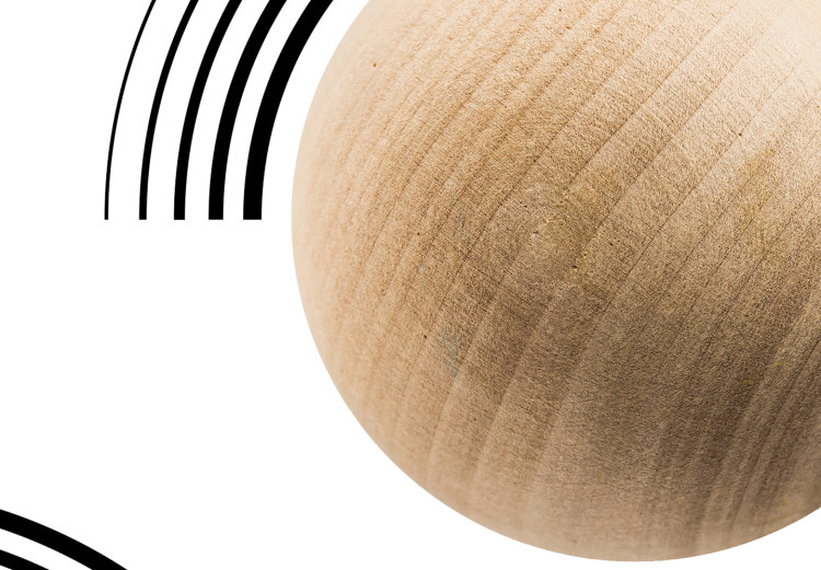 Wall Poster Blocked Sphere - black and white geometric abstraction with wood 116558 additionalImage 11