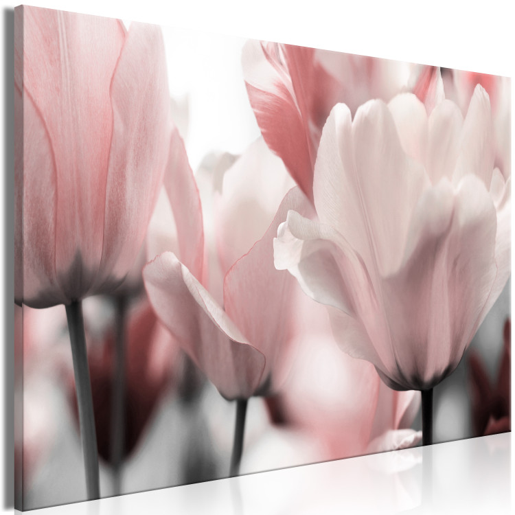 Canvas Spring Petals (1-part) - Tulip Flower in Pink Hue 117158 additionalImage 2