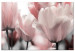 Canvas Spring Petals (1-part) - Tulip Flower in Pink Hue 117158