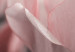 Canvas Spring Petals (1-part) - Tulip Flower in Pink Hue 117158 additionalThumb 4
