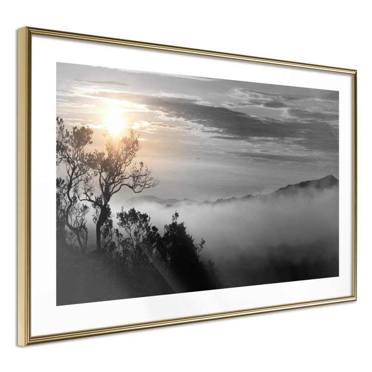 Poster Sunrise - dark landscape of trees against clouds and dense fog 117258 additionalImage 8